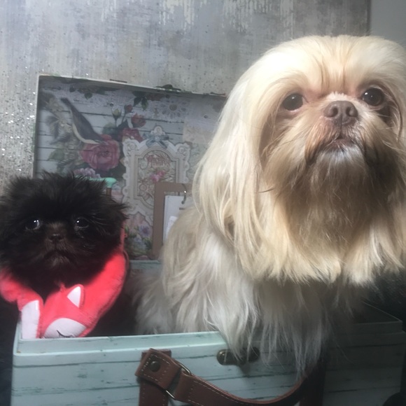 Meet your Posher, Largo - Picture 7 of 9